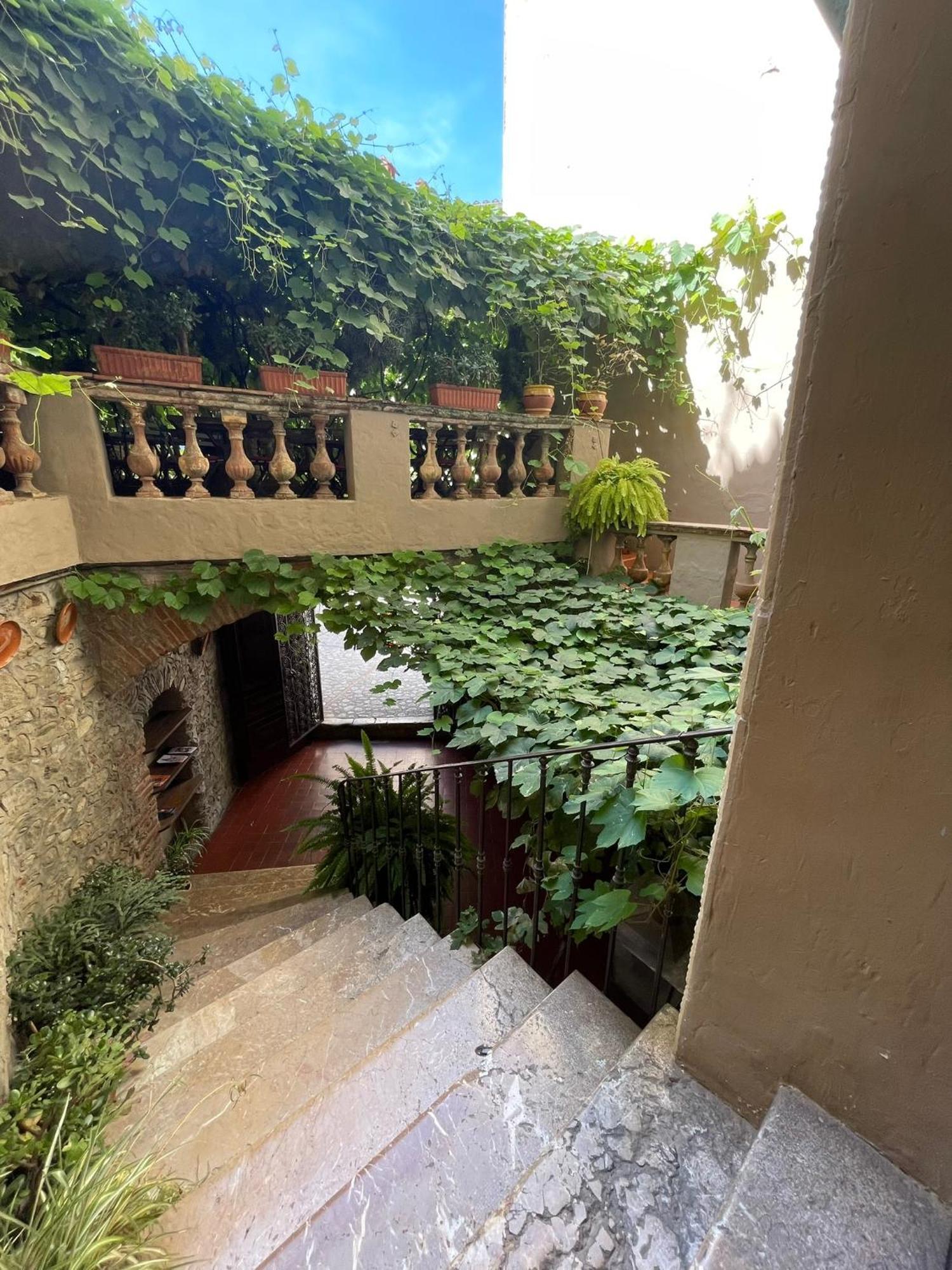 Hotel Vidal Céret Dış mekan fotoğraf