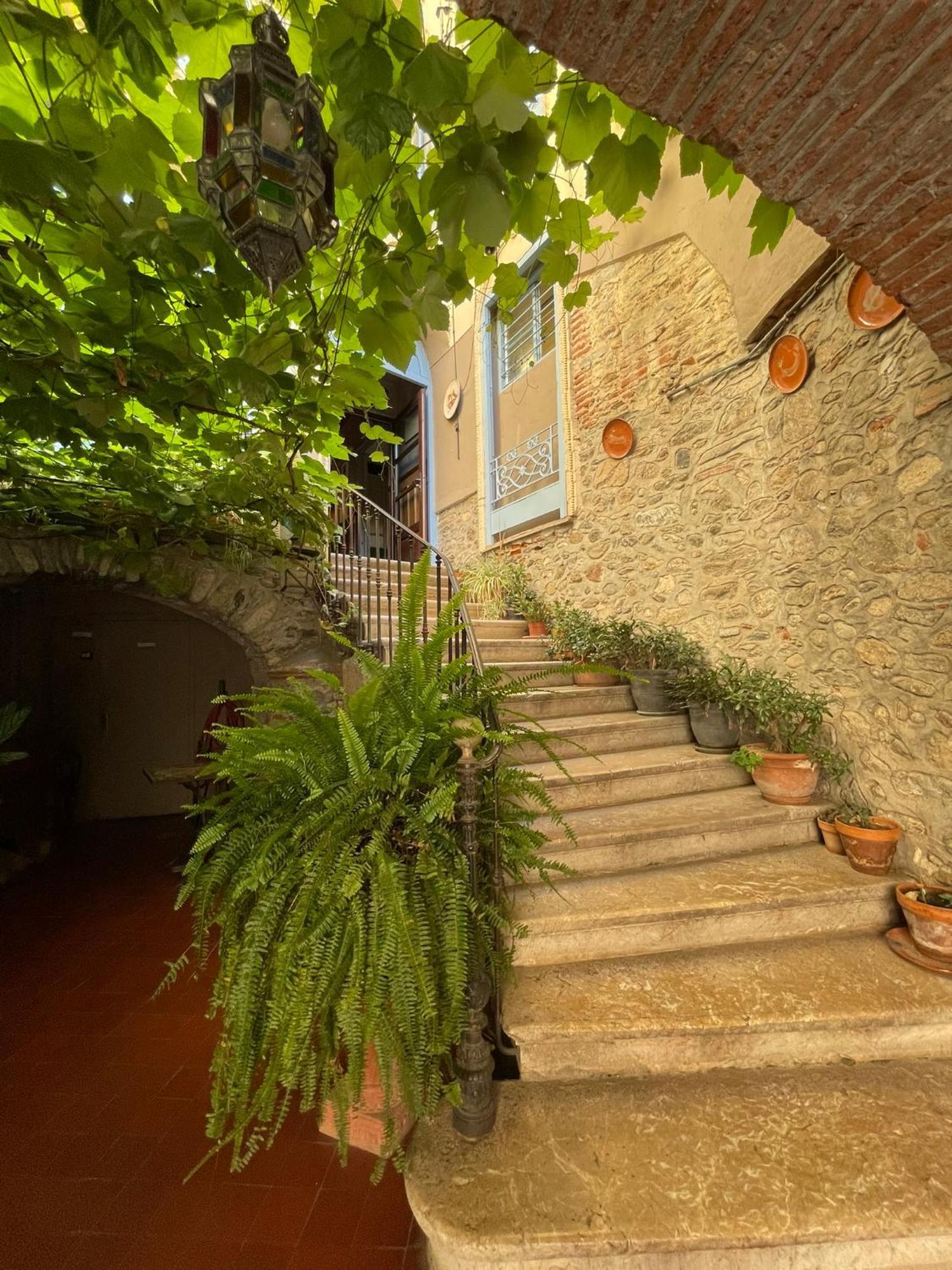 Hotel Vidal Céret Dış mekan fotoğraf