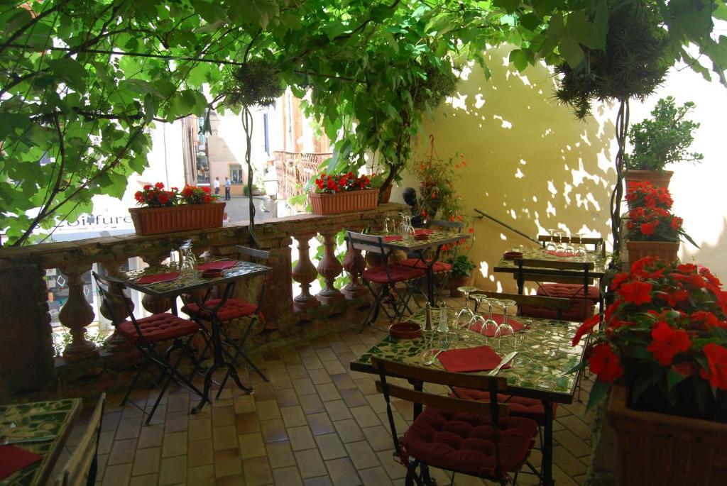 Hotel Vidal Céret Dış mekan fotoğraf