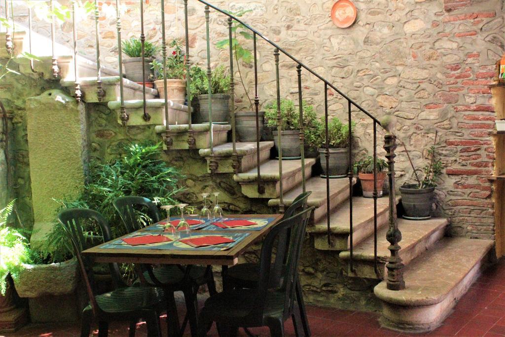 Hotel Vidal Céret Dış mekan fotoğraf